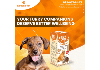 Relieve Your Dog’s Skin Allergies – Buy Omega-3 Supplements | RemedioVet