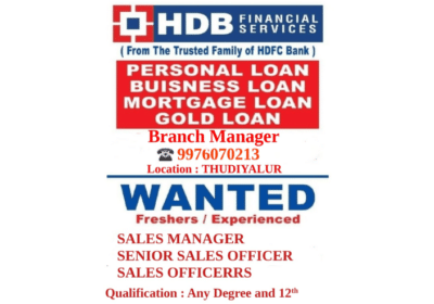 Sales-Manager-Jobs-in-Thudiyalur-Coimbatore-HDB-Financial-Services