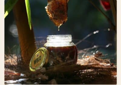 Best Quality Forest Honey in Pollachi Tamil Nadu | Everest Group Of Companies