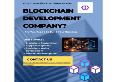 Hire Trustable Blockchain Development Company in USA | Blocktech Brew
