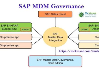 SAP MDM Governance | Mckinsol