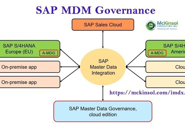 SAP MDM Governance | Mckinsol