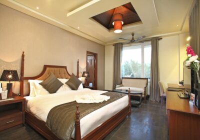 Hotels in Candolim Goa on The Beach | Hotel Godwin Goa