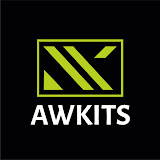 Best Information Technology Company in USA | Awkits