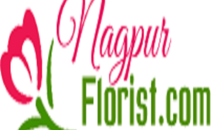 Gifts For Any Occasion with Same Day Delivery To Nagpur | NagpurFlorist.com