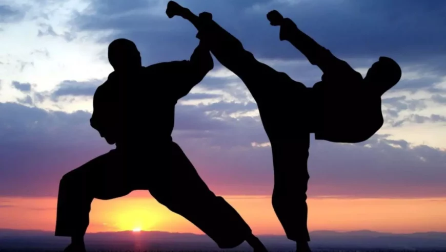 Best Mixed Martial Arts Training in Gurgaon | Sanshinkan Martial Arts