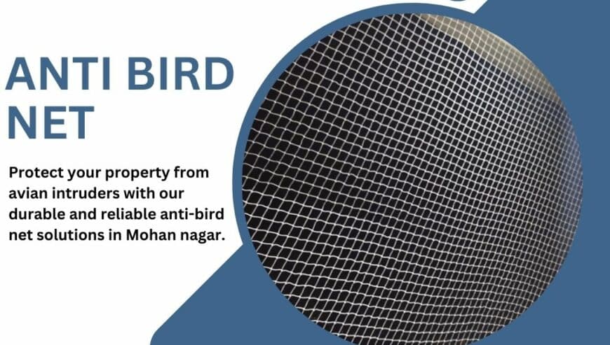 Secure Your Property with an Anti-Bird Net in Mohan Nagar | NetNSpike