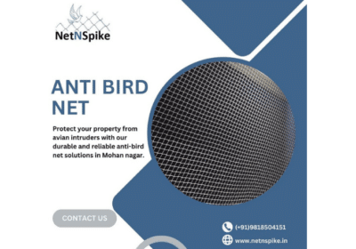 Anti-Bird-Net-in-Mohan-Nagar-NetNSpike