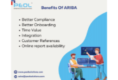 Ariba Partners in Bangalore | PEOL Technologies