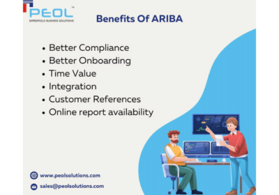 Ariba-Partners-in-Bangalore-PEOL-Technologies