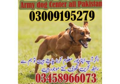 Army-Dog-Center-Peshawar-Pakistan
