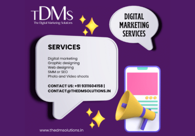 Best SEO Services in Gurgaon | The DM Solutions
