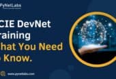 Elevate Your Career with DevNet Expert Certification | PyNetLabs