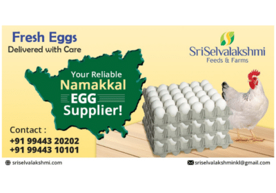 Egg-Wholesale-Price-Namakkal-Sri-Selvalakshmi-Feeds-and-Farms