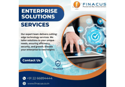 Enterprise Solutions Services | Finacus