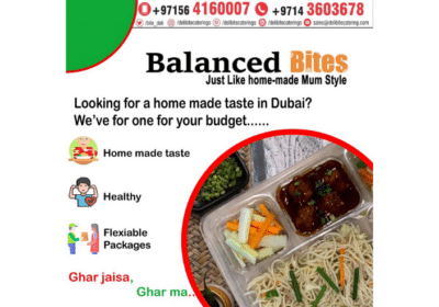 Home-Style-Tiffin-Meal-Plans-in-Dubai-Deli-Bite-Catering