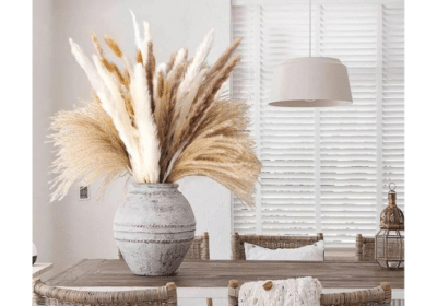 How-to-Dry-Pampas-Grass-Talkytrends