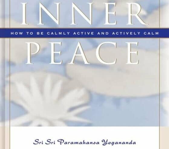 Inner Peace – Order Online From Ideazfirst Bookstore