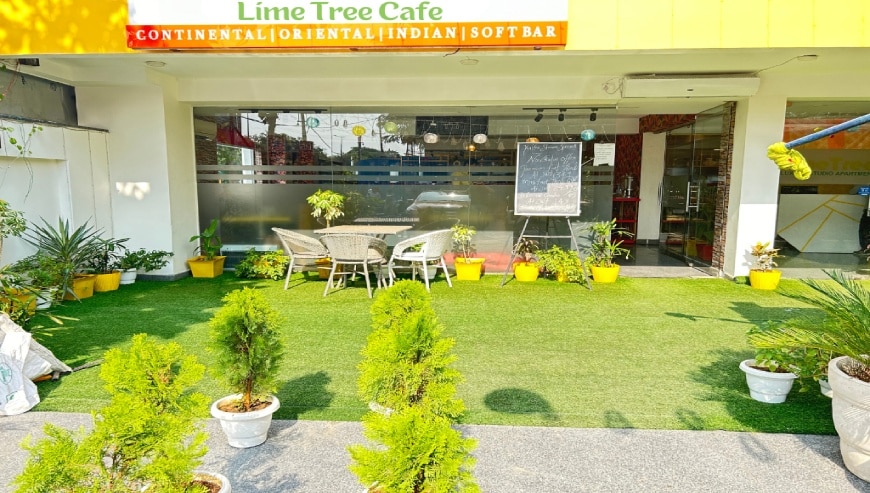 Best Cafe in Gurgaon | Lime Tree Cafe