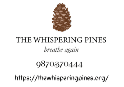 Luxurious Housing Property in Himachal Pradesh | The Whispering Pines