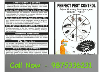 Pest-Control-Services-in-Madhyamgram-Kolkata-Perfect-Pest-Control