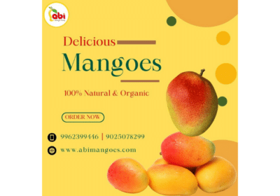 Quality-Fresh-Organic-Alphonso-Mangoes-Online-Abi-Mango-Farm
