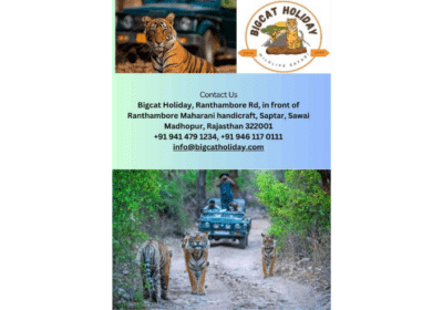 Tiger Safari Ranthambore | Car Rental Ranthambore | Holiday and Tour Packages Ranthambore | Bigcat Holiday