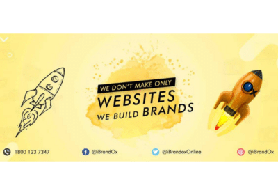 Top Website Design Company in Delhi India | iBrandox