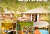 Top Resorts in Ranthambore | Maa Ashapura Farm