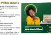 Buy Plots with Registered Survey and Certificate of Occupancy in Epe Lagos Nigeria