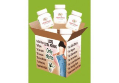 Arogyam Pure Herbs Kit For Weight Loss