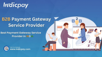 B2B Payment Gateway Service Provider | IndicPay