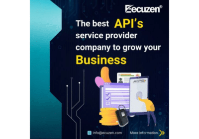 Best API Provider Company in India | Ecuzen