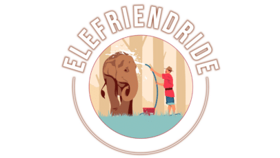 The Best Elephant Ride in Jaipur | Elefriendride