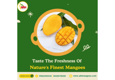 Best-Online-Natural-Tasty-Mangoes-Seller-in-Namakkal-Tamilnadu-Abi-Mangoes