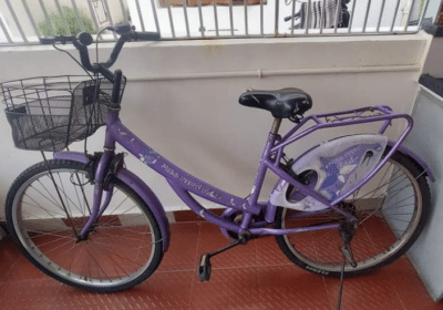 Hero-Lady-Bicycle-For-Sale-in-Vadodara