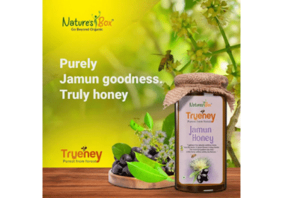 Jamun Honey Online | Nature’s Box