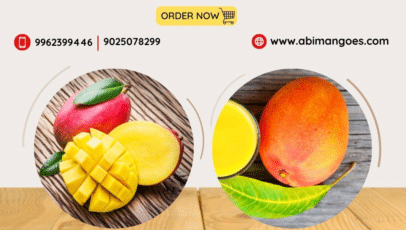 Mangoes-with-Home-Delivery-Service-in-Tamilnadu-Abi-Mango-Farm