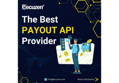 Payout API Provider | Ecuzen Software