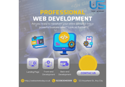 Professional Web Development Services in Pakistan | US Tech