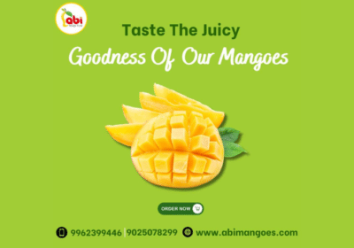 Top-Online-Mangoes-Seller-in-Namakkal-Abi-Mango-Farm
