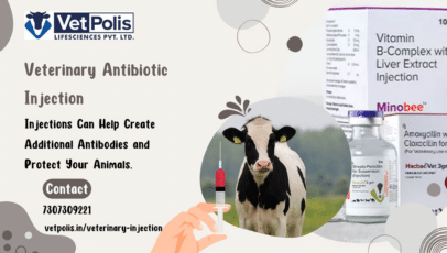 Veterinary-Antibiotic-Injection-Vetpolis