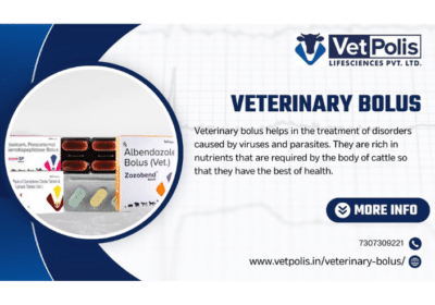 Vetpolis-Transforming-Care-with-Advanced-Veterinary-Bolus-Solutions