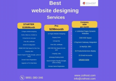 Website Development Services in Preet Vihar Delhi By ZoiHost