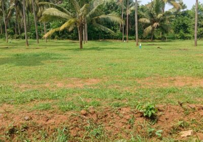 Residential Plots For Sale Thrissur