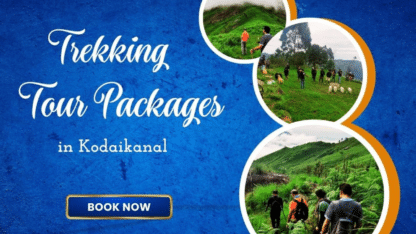 Adventure-Tour-Packages-in-Kodaikanal-Dravidian-Voyage