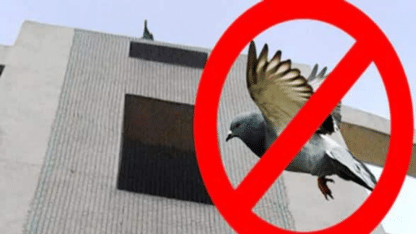 Best-Pigeon-Safety-Nets-in-Bangalore
