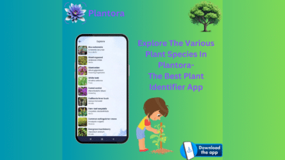 Best-Plant-Identifier-App-Plantora-1