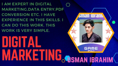 Digital-Marketing-Usmanibrahee211-Fiverr