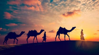 How-to-Plan-Family-Friendly-Hioliday-Trip-to-Rajasthan